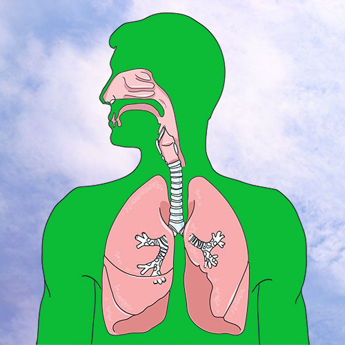MiJET Respiratory System